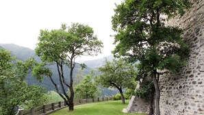 Un muro in pietra con un'area verde e alberi.