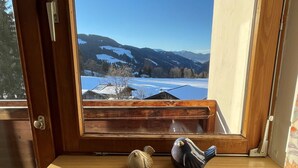 Una estantería de madera con dos figuras de pájaros y vistas a un paisaje nevado a través de una ventana.