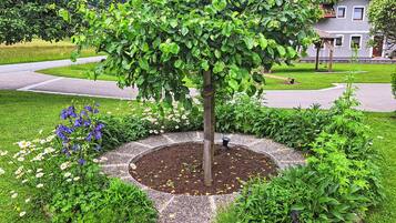 Ein Garten mit einem zentralen Baum, umgeben von verschiedenen Pflanzen und Blumen.