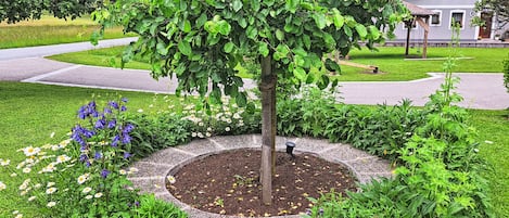 Terrein van de accommodatie
