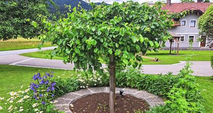 Apartment Fichte by Interhome