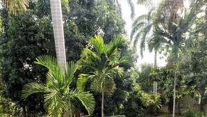 舒适双人房, 花园景观 | 客房景观