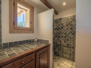 Shower, hair dryer, towels