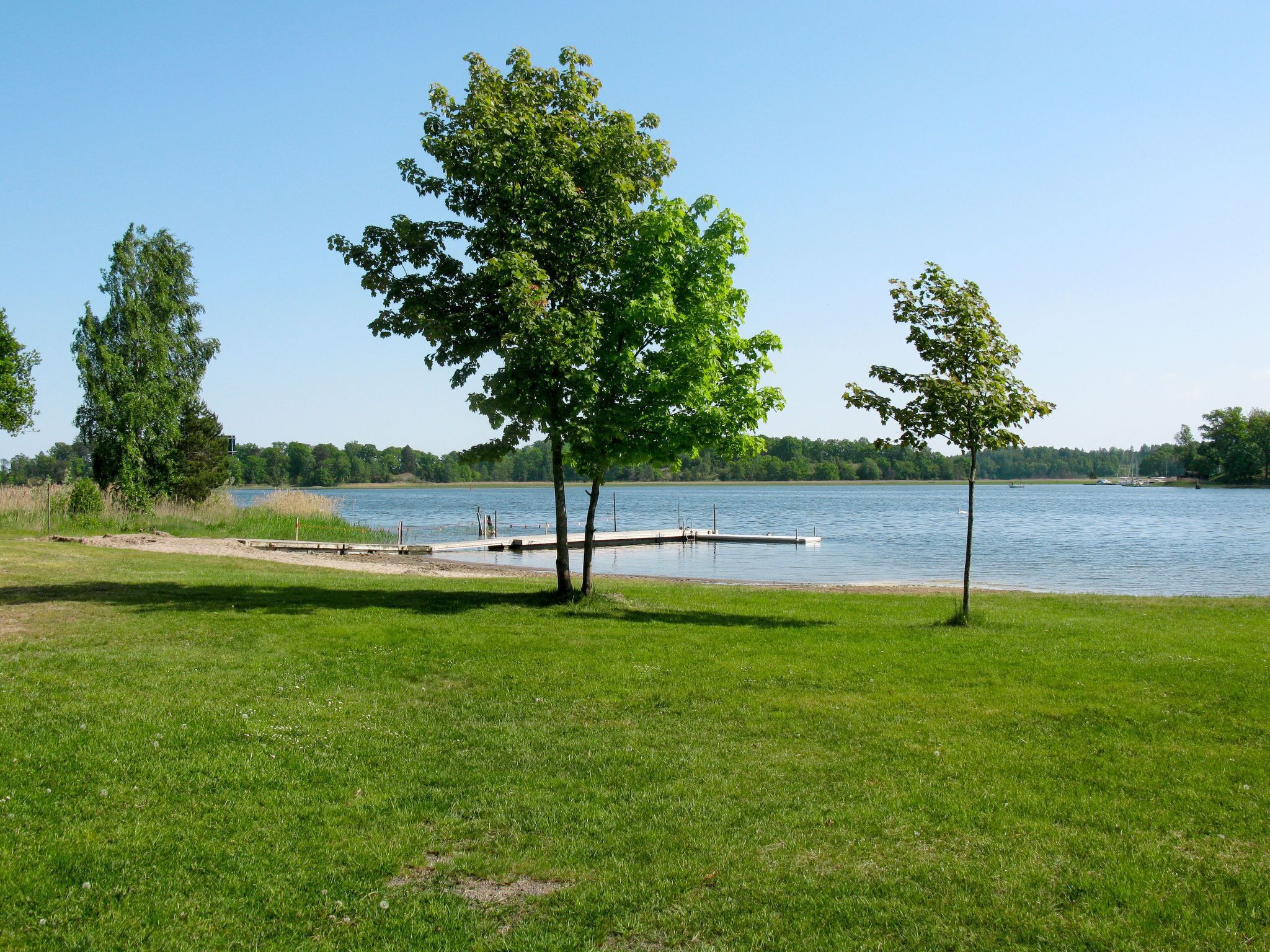 Une zone herbeuse avec une jetée qui s’avance sur un lac paisible, le tout entouré d’arbres.