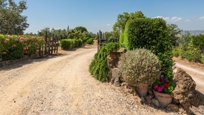 Un chemin de gravier traverse un jardin où poussent différentes plantes et arbustes, bordé d’une clôture en bois, et le ciel est d’un bleu limpide.