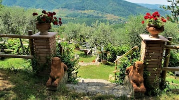 Áreas de la propiedad