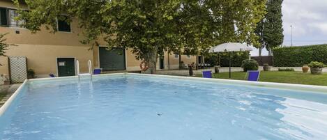 Une piscine avec une bouée de sauvetage, une chaise et un arbre en arrière-plan.