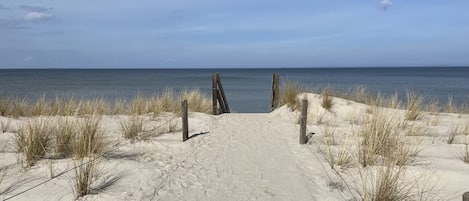 Una spiaggia nelle vicinanze