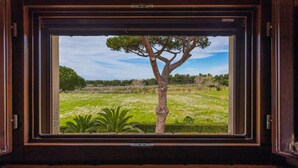 A window with a view of a tree and a grassy field. - Podere Tre Termini by Interhome (Cecina)