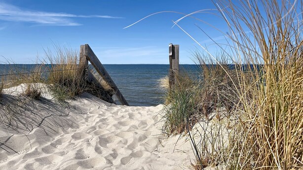 Une plage de sable avec une barrière en bois donnant accès à la mer, le tout entouré d’herbe.