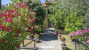 Un chemin de jardin qui mène à un bâtiment doté d’un toit recouvert de tuiles et d’une façade jaune.