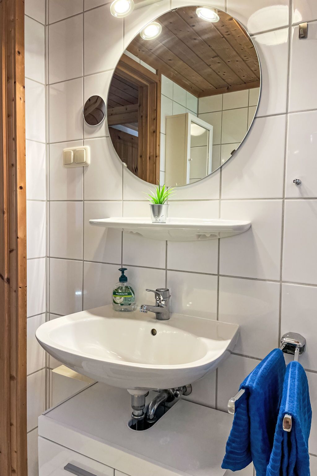 Un baño con un lavabo blanco, un espejo y una planta pequeña en la encimera.