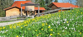 Edelweiß by Interhome