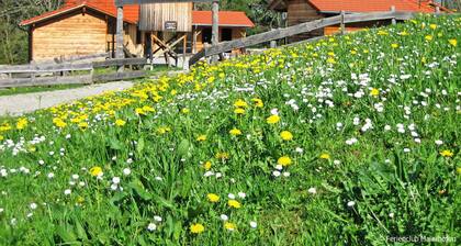 Edelweiß by Interhome