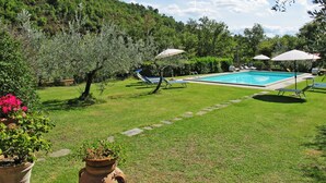 Un jardin à l’arrière de la maison, avec une piscine, entouré de pelouse, d’arbres et de plantes en pot.