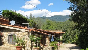 Une maison en pierre avec un toit en tuiles, des plantes en pot et une allée gravillonnée.