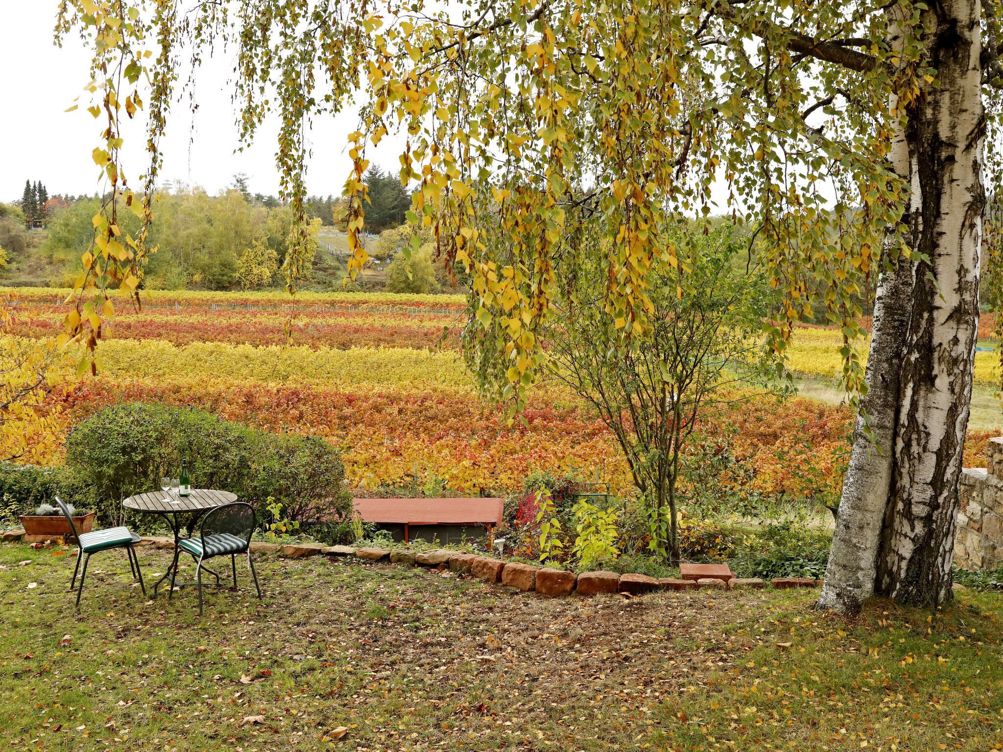 Un jardín con una mesa y sillas, rodeado de árboles y un campo.