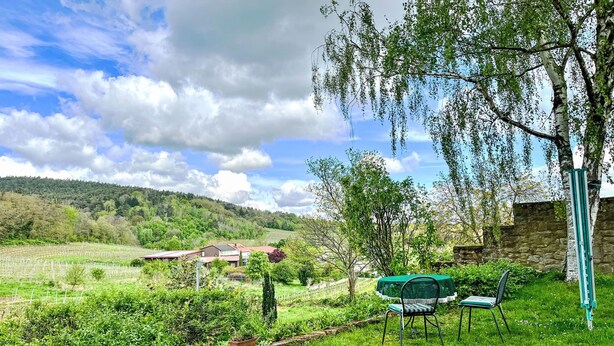 A lush garden with a lawn, a stone wall, and a view of a valley with houses in the background. - Am Weinberg by Interhome (Bad Dürkheim)