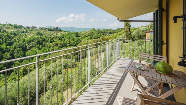 Ein Balkon mit Blick auf eine üppige grüne Landschaft, ein Holztisch mit einem grünen Blumentopf und einem Metallgeländer.