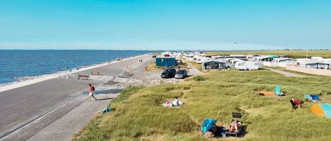 Nära stranden