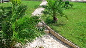 A pathway leading to a white building with a stone archway, surrounded by lush greenery and palm trees. - Villa Ursa by Interhome (Pula)