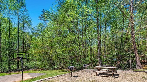 A park with a basketball court, picnic table, and benches surrounded by trees.
