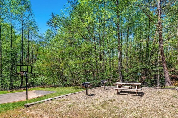 A park with a basketball court, picnic table, and benches surrounded by trees.