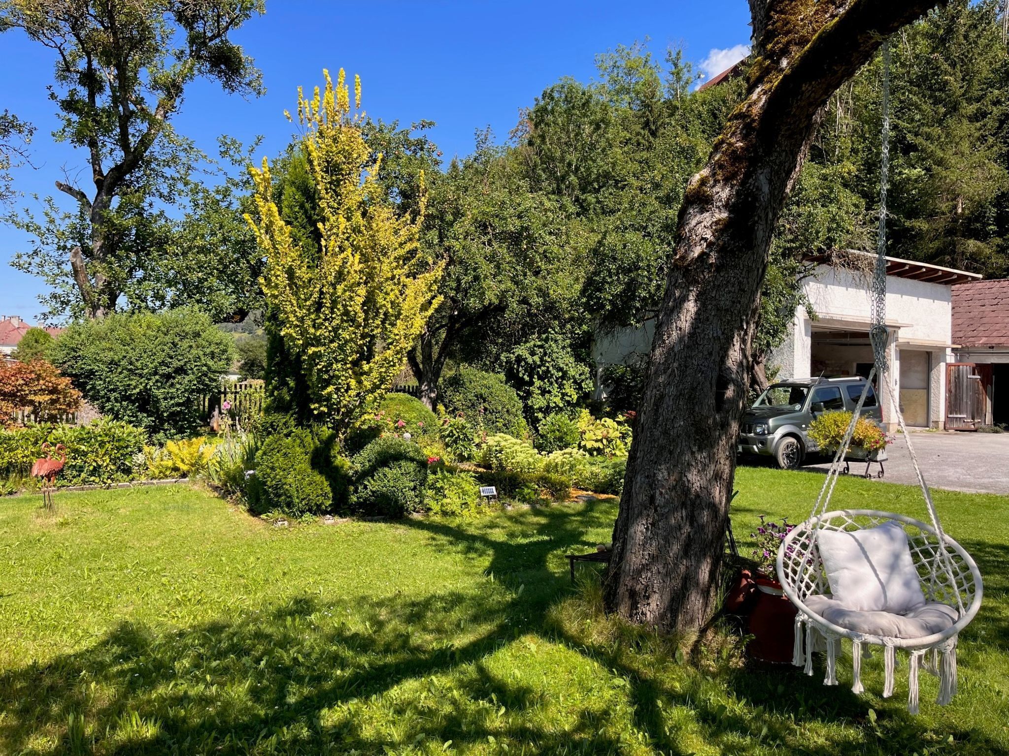 Un jardín con una silla colgante, un árbol y un coche aparcado al fondo.