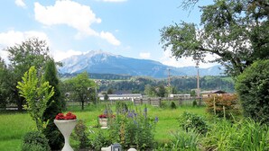 A garden with a variety of plants and flowers, a concrete planter with red flowers, and a mountain in the background. - Apartment Moser by Interhome (Stein an der Enns)