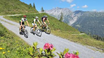 Overnatningsstedets område