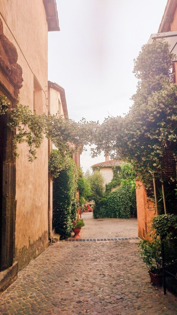 Property grounds - Le petit Atelier (Formello)