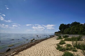 A sandy beach with clear water, rocks, and greenery along the shore.