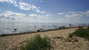 A beach with a sandy shore, scattered rocks, and sparse vegetation. - Chic vacation apartment with sea view - rügenreif Holiday apartment no. 02 - rügenreif (Mönchgut)