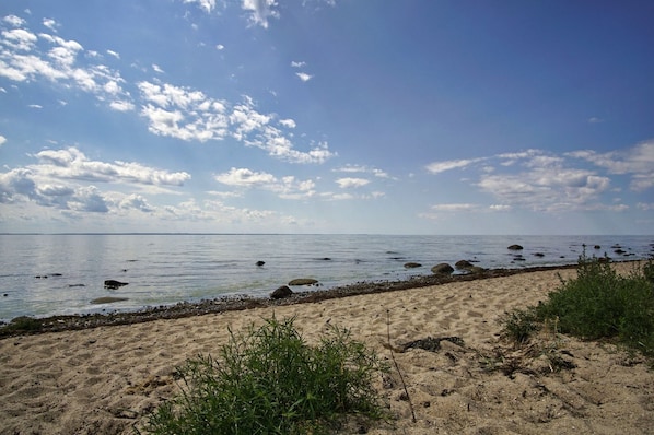 A beach with a sandy shore, scattered rocks, and sparse vegetation.