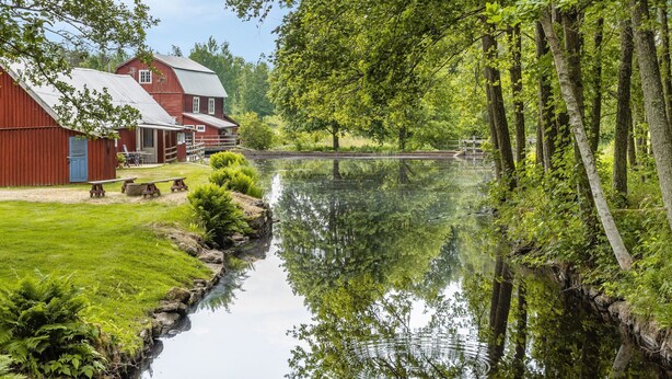 A serene riverside scene with a red barn, a wooden bridge, and lush greenery. - Tingsmåla by Interhome (Tingsryd)