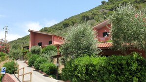 A residential area with two red-roofed buildings, surrounded by greenery and a hill in the background.