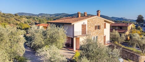 A stone house with a tiled roof, surrounded by olive trees and a gravel path.