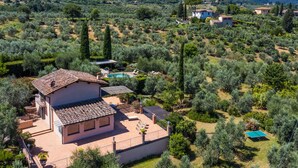 Una villa con piscina, rodeada de olivos y un paisaje montañoso.