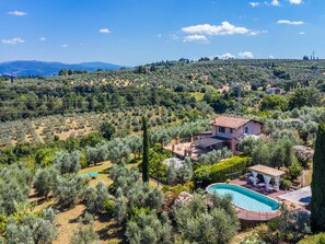 A villa with a swimming pool, surrounded by olive groves and hills.