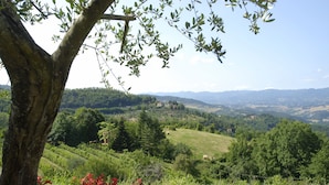 Un paisaje pintoresco con colinas onduladas, un árbol y flores rojas en primer plano.