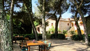 An outdoor dining area with a wooden table and chairs, surrounded by trees and a stone building with arches in the background. - Cellole - Cellole 1 (CTC150) by Interhome (Castellina in Chianti)