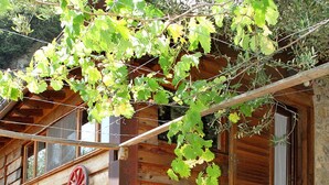 A rustic wooden cabin with a stone foundation, a wooden porch, and a vine-covered trellis. - La Grotta by Interhome (Camaiore)