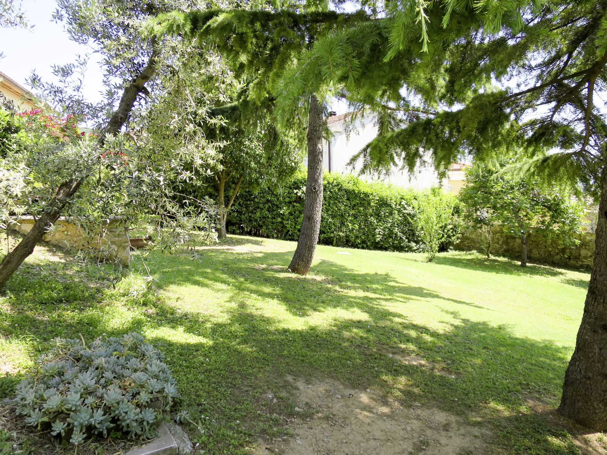 A well-maintained garden with various trees, a lawn, and a stone wall.