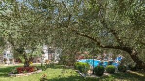 A lush garden with a pool, surrounded by well-maintained grass and various plants. - Apartment Nena by Interhome (Poreč)