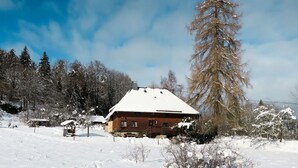Lumipeitteinen maisema, jossa on näkyvissä puinen mökki ja korkea mänty.