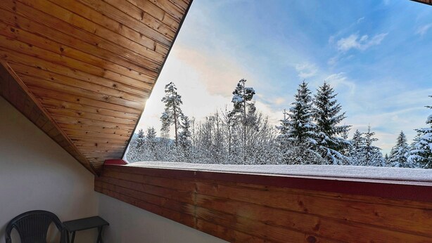 Een kamer met een houten plafond en een raam met uitzicht op een besneeuwd bos.