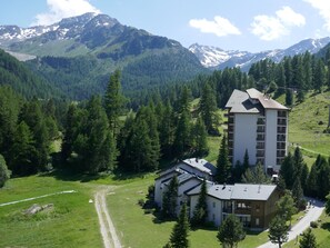 Un chalet de montagne doté d’un grand bâtiment et d’une annexe plus petite, entouré d’une forêt dense et de montagnes aux sommets enneigés.