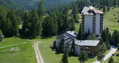 Mont-Fort D1 by Interhome