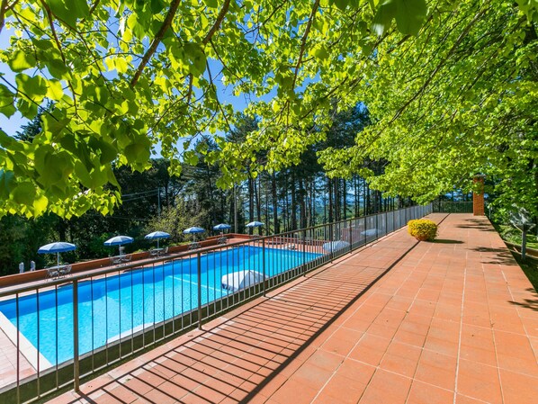 Guests can enjoy a serene outdoor pool surrounded by lush greenery and a tiled walkway.