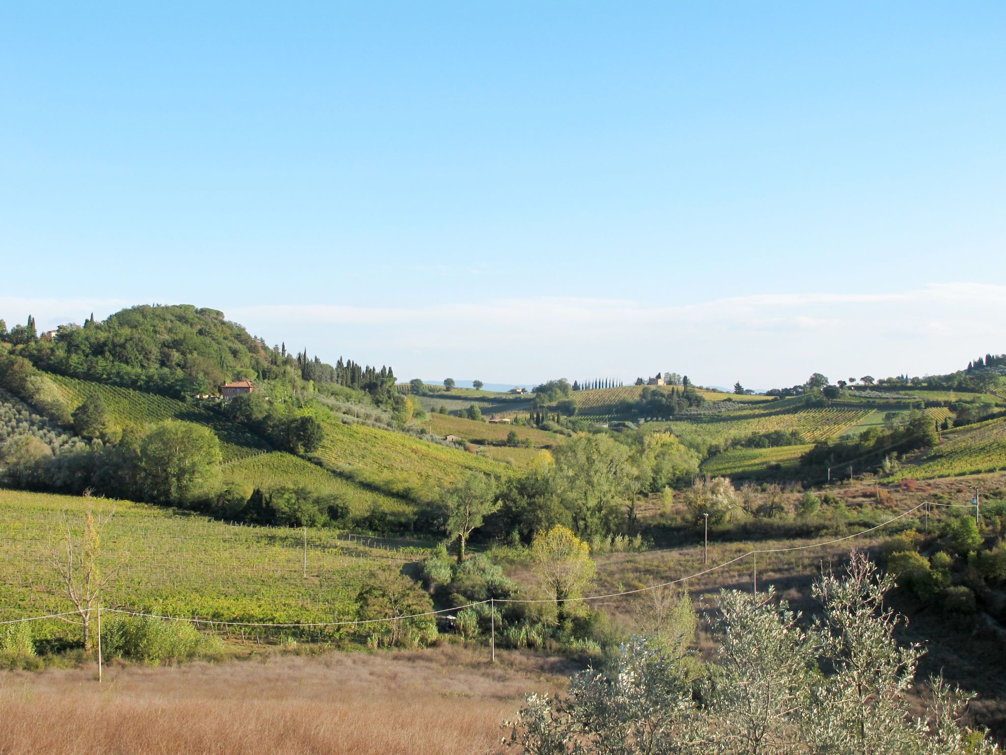A vineyard landscape with rolling hills and a distant building on a hill.